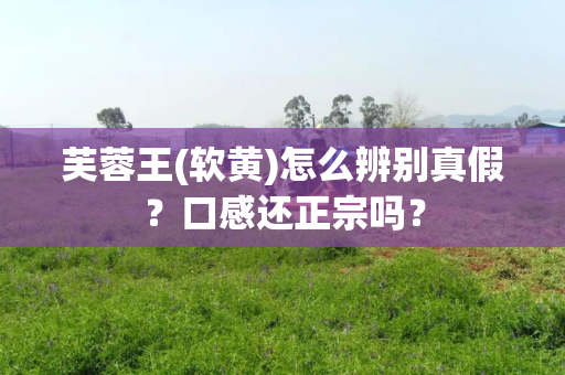 芙蓉王(软黄)怎么辨别真假？口感还正宗吗？